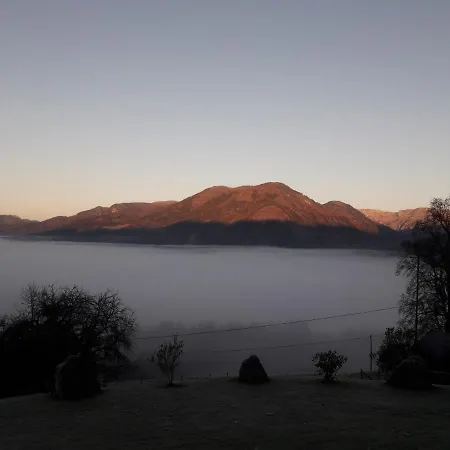 Gamserlalm Fam. Feichtenhofer Appartement