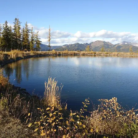 Gamserlalm Fam. Feichtenhofer Appartement