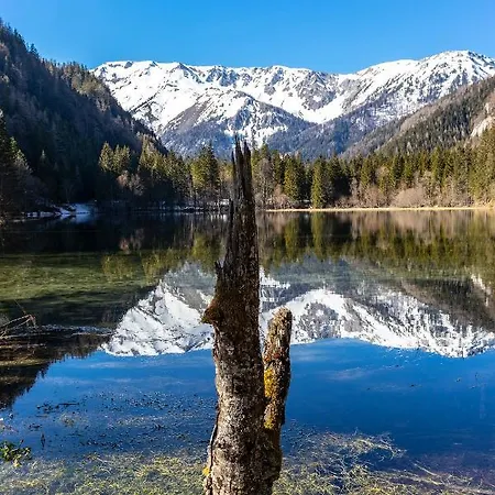 Appartement Gamserlalm Fam. Feichtenhofer