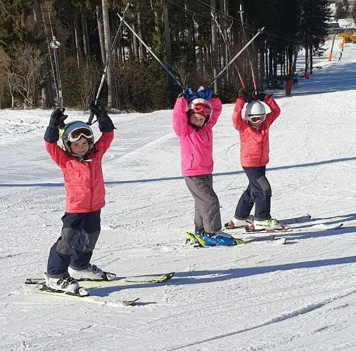 Gamserlalm Fam. Feichtenhofer * Turnau