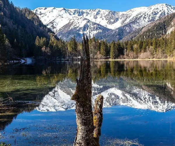 Apartment Gamserlalm Fam. Feichtenhofer